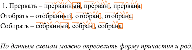 Иллюстрация к решению «ГДЗ по Русскому языку 7 Класс Номер 231 Разумовская, Львова — Подробные Ответы», 4