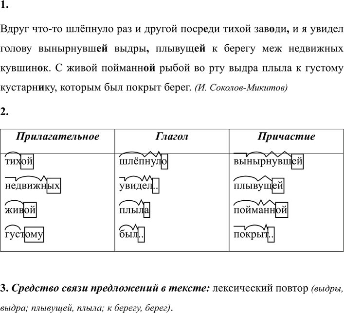 Иллюстрация к решению «ГДЗ по Русскому языку 7 Класс Номер 241 Разумовская, Львова — Подробные Ответы», 2